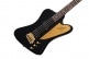 THUNDERBIRD ARTIST REX BROWN EBONY