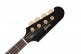 THUNDERBIRD ARTIST REX BROWN EBONY