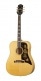 FRONTIER EPIPHONE ANTIQUE NATURAL LH OC