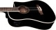 NXT B100CE DREADNOUGHT SEE THROUGH BLACK