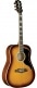 RANGER VI VINTAGE REISSUE DREADNOUGHT HONEY BURST