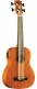 UKUBASS DUO FRETLESS ÉLECTRO