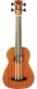 UKUBASS DUO FRETLESS ÉLECTRO