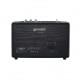 GTR-100 - ENCEINTE BLUETOOTH DE SALON 30W