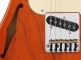 TRIBUTE ASAT CLASSIC BLUESBOY THINLINE CLEAR ORANGE MN