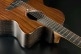 SAUVAGE JUMBO 12 STRINGS CTW