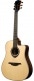 HYVIBE 30 DREADNOUGHT CTW