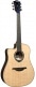 HYVIBE 30 DREADNOUGHT CTW GAUCHER