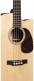 BASSE ACOUSTIQUE BC-16E