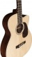 BASSE ACOUSTIQUE BC-16E