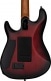 SIGNATURE RICHARDSON DARK SCARLET BURST SATIN