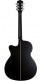 DEEP FOREST AUDITORIUM CUTAWAY EBONY MATTE