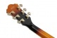 AS113 BS BROWN SUNBURST