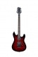 D-SERIES DIABLO PROGRESSIVE X BURGUNDY BLACKBURST