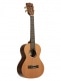 SOLID CEDAR TOP PAU FERRO, TENOR, + CASE