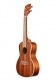 KA-C AVEC HOUSSE CONCERT SATIN MAHOGANY