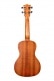 KA-C AVEC HOUSSE CONCERT SATIN MAHOGANY