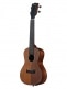 SATIN HAWAIIAN KOA CONCERT EQ