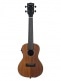 SATIN HAWAIIAN KOA CONCERT EQ