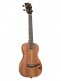 SOLID BODY ACACIA, TENOR + HOUSSE