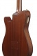 FRH10N BROWN SUNBURST FLAT