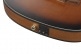 FRH10N BROWN SUNBURST FLAT