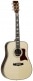 HERITAGE TW1000 H SR NATURAL GLOSS