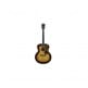 WESTERLY F250E DELUXE MAPLE BURST