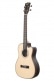 KA-SSEBY-B-CE - SOLID SPRUCE TOP EBONY