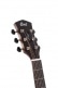 GUITARE CORE-GA BLACKWOOD L. BURST