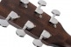 GUITARE EARTH60M NATUREL