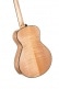 GUITARE GOLD-PASSION NATUREL BRILL.