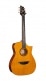 GUITARE LUXE II NATUREL BRILLANT