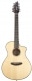 PURSUIT CONCERT12C CW FISHMAN