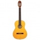 GUITARE FLAMENCO R170F