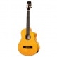 GUITARE FLAMENCO RCE170F