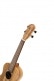 CONCERT RFU11Z ZEBRAWOOD NATURAL