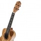 UKULELE CONCERT ELITE SP-MAPLE