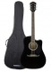 PACK FA-125CE DREADNOUGHT WLNT BLACK + HOUSSE