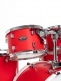 DECADE MAPLE STAGE 22 MATTE RACING RED