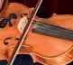 VL21C LANEN VIOLON - ALTO