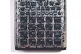 SP-404 MKII STONES THROW - EDITION LIMITEE