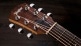 GS MINI-E ROSEWOOD - STOCK-B