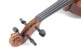 ALTO ALLEGRO-VA1 38.2 CM (4/4 VIOLA) PREPARED FOR PLAYING, PROFILED CASE, MASSARANDUBA BOW, ALPHAYUE