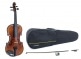 ALTO ALLEGRO-VA1 39,5 CM PREPARED FOR THE GAME, PROFILED CASE, CARBON BOW, ALPHAYUE STRINGS