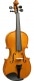 VIOLON MASSIF 3/4