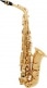 SAXOPHONE ALTO DEBUTANT VERNI A300