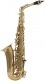 WSA100 - ALTO MIB VERNI