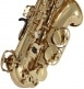 WSA100 - ALTO MIB VERNI