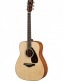 FOLK GUITARS FG800MNT